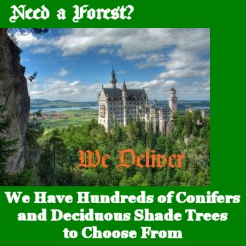 Need a Forest